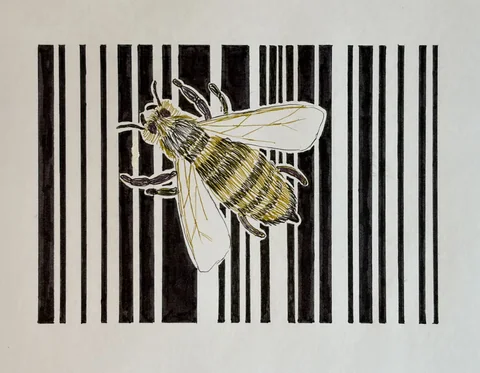 Animal Code, bee