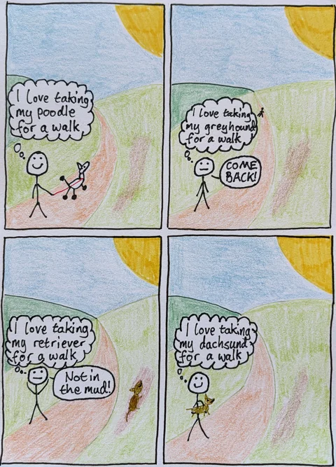 Walking The Dog